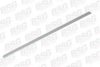 BSG BSG 30-924-049 Trim/Protective Strip, door